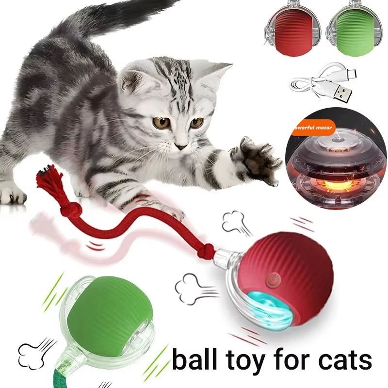 smart game for happy cats