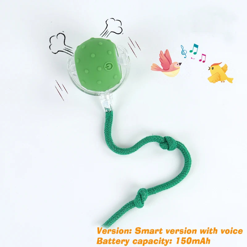 smart game for happy cats
