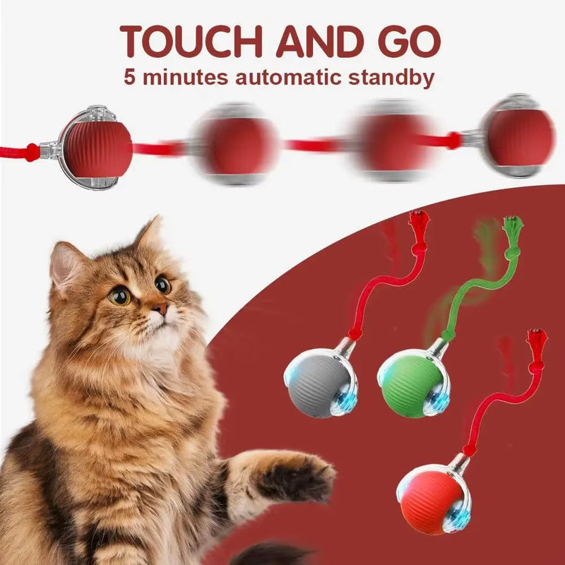 smart game for happy cats