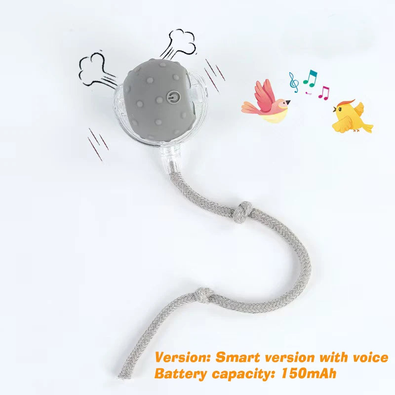 smart game for happy cats