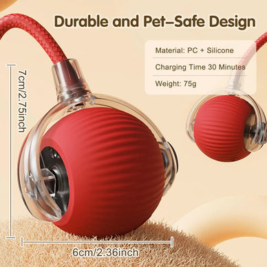 Unleash Joy: Elevate Your Cat's Playtime!