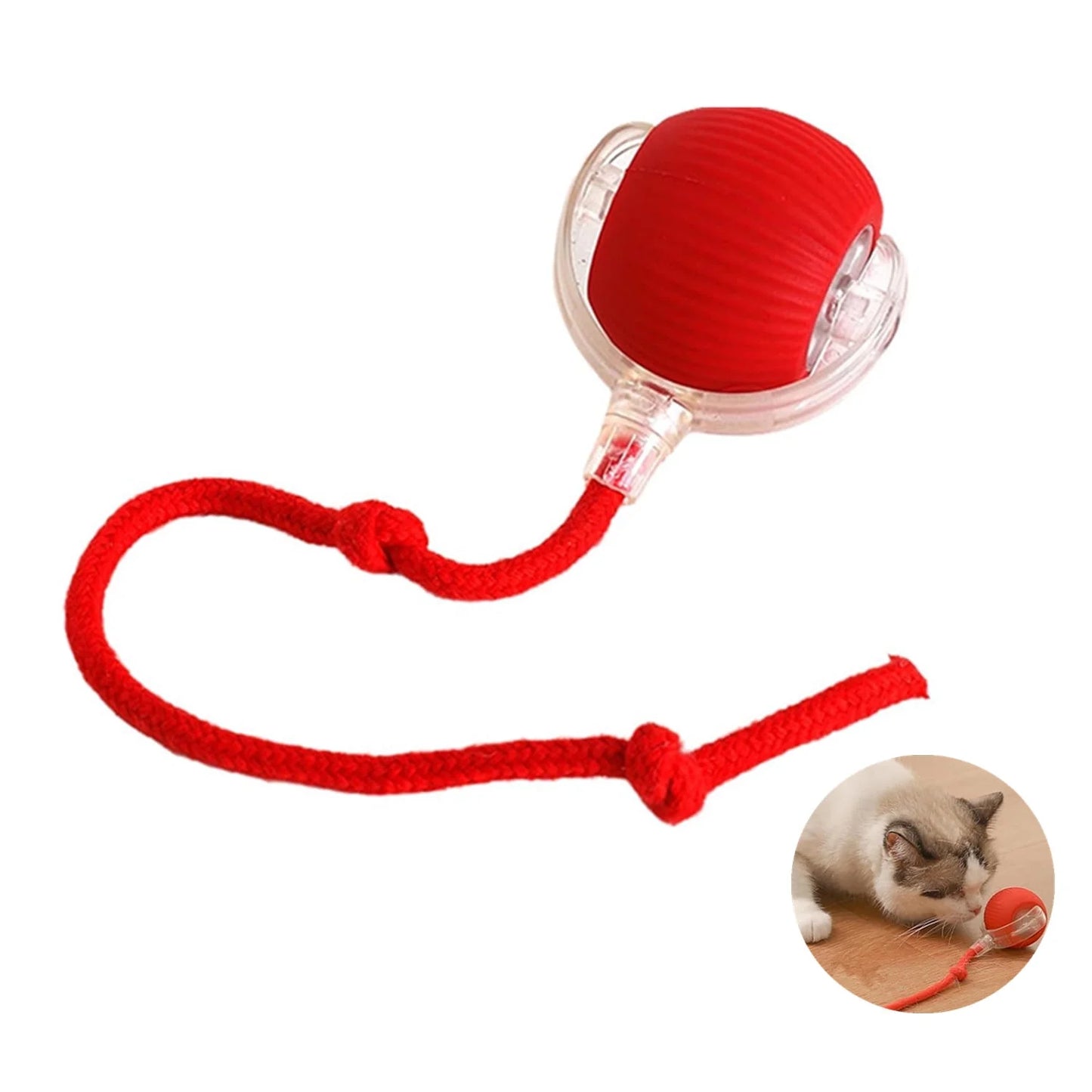 smart game for happy cats