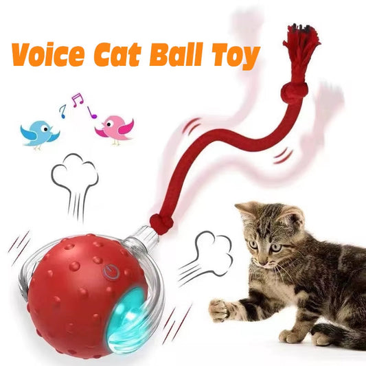 smart game for happy cats