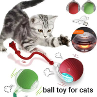 smart game for happy cats