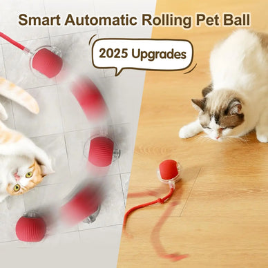 Unleash Joy: Elevate Your Cat's Playtime!